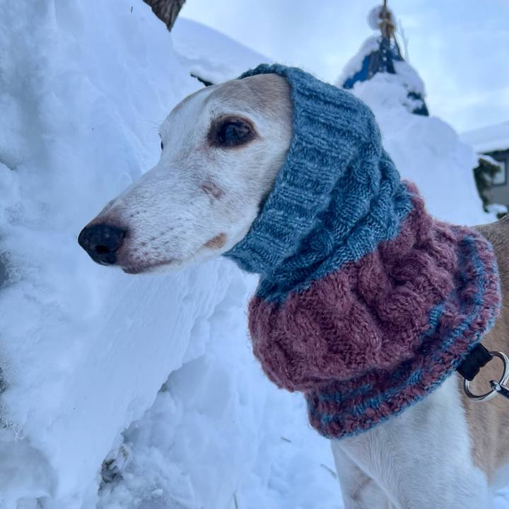 4c97ca2d a687 4920 81f1 db5f65dfd9f4 1769761352904