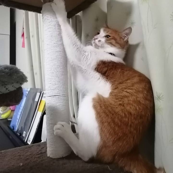 4c97e3c5 b6a6 4d8c aeef 4805e9811ccd 1626349517386