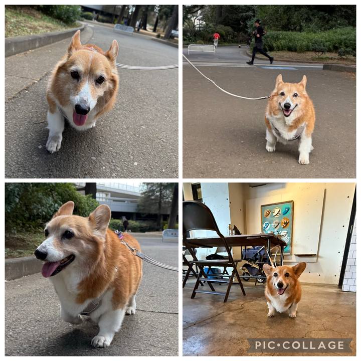 4c98b1b1 8ae1 4b21 8ccd 23f137fe77c2 1770879470152