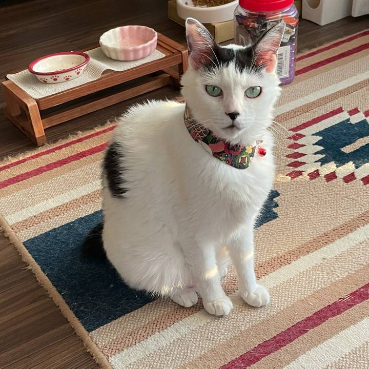 4c991115 5133 46e5 8066 8d91c627b262 1630139929177