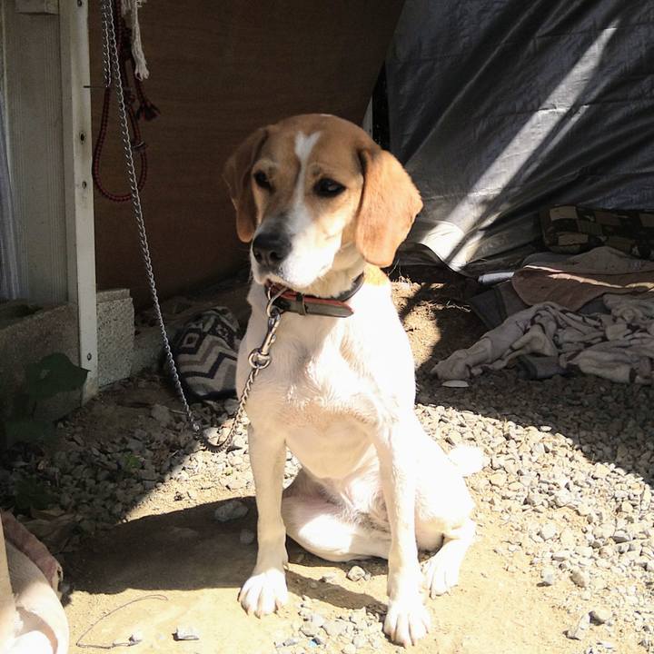 4c991ba2 7ecf 4795 ba98 056307f1a08d 1619415354810