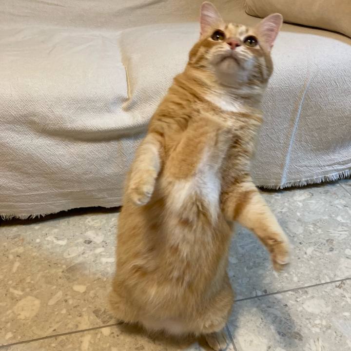 4c9931b6 2d25 4c3d aad0 f99082025d51 1759758002702