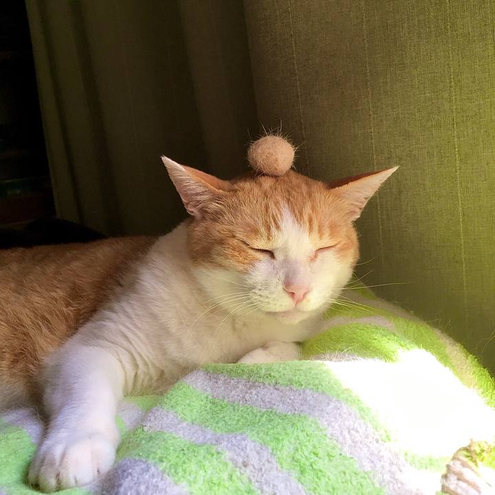 4c994fa6 9363 4ea4 a37c a033922263b5 1625195187158