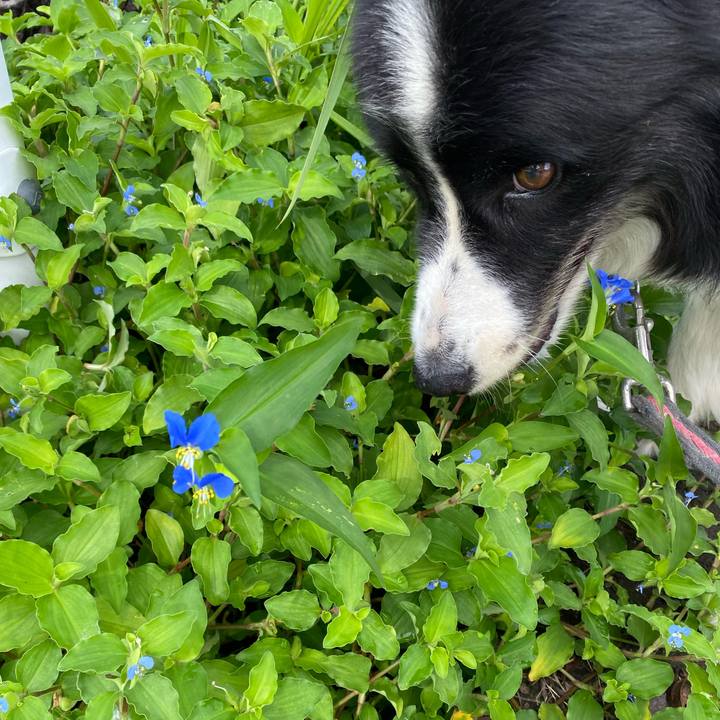 4c9992b9 932d 4786 b818 418ae152929a 1629852087657