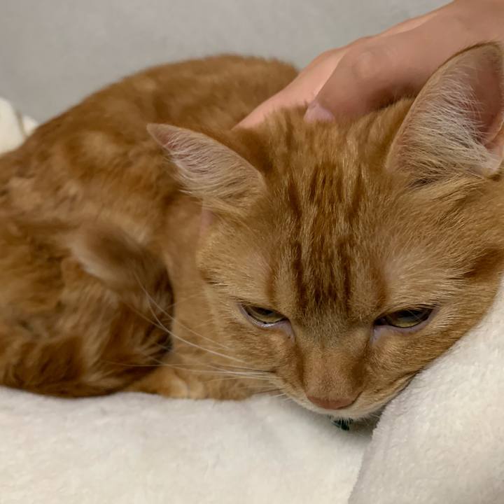 4c99b7af 8877 488a 964c b192e3203288 1571144878590