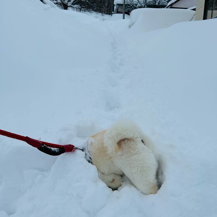 4c99c07b eae9 46ce 86c4 9e90d6b32063 1707606784078