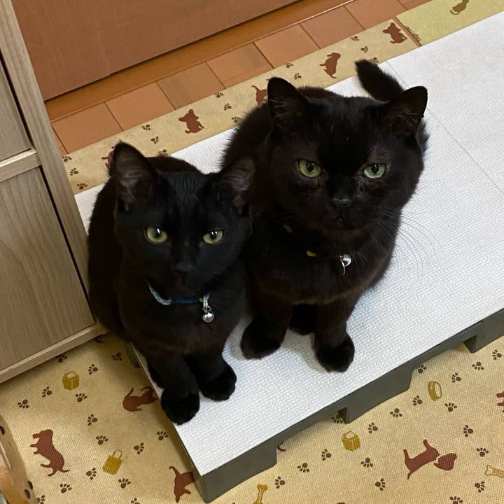 4c99e647 236c 4631 923d 4e2632fe7431 1644920323270