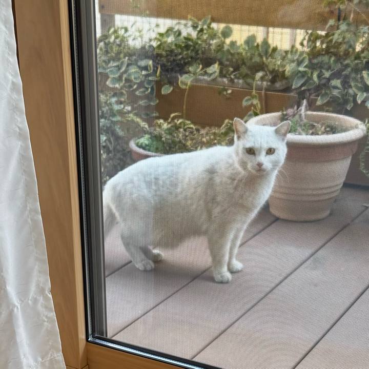 4c99ebe1 090d 49f6 9b63 ea6617069b1d 1769835840882