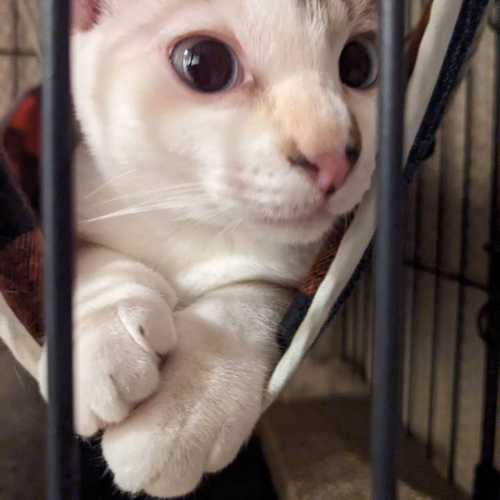 4c99ed1c d1f6 447b 8d9f 15a8d3ffc97b 1695336461537