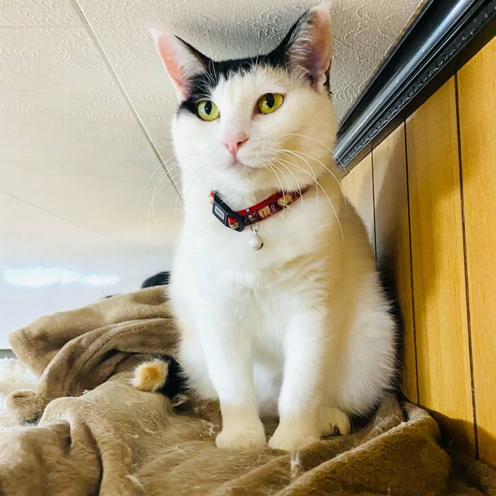 4c9a0237 d32a 4ebe 9aa4 f38336f53916 1676586026051