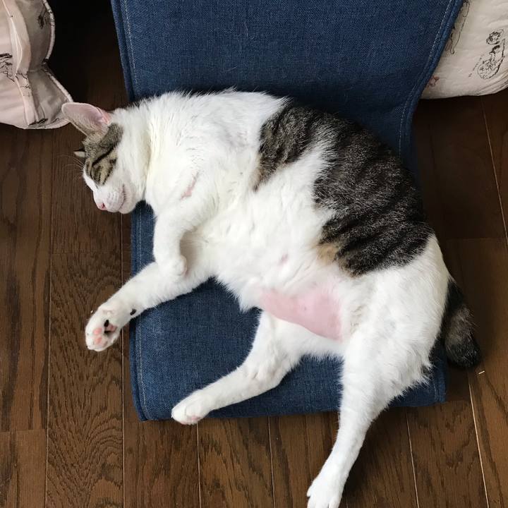 4c9a1efe 0859 4276 9f10 77a7ef30fb9b 1567132308638