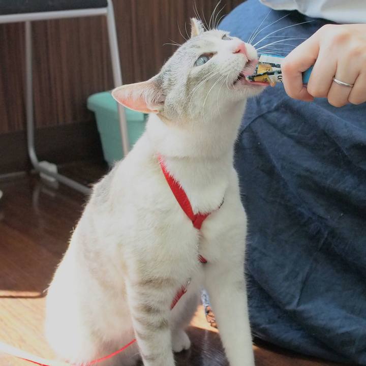 4c9a2f4c e89a 4331 94db d31aff45cda4 1524394739502