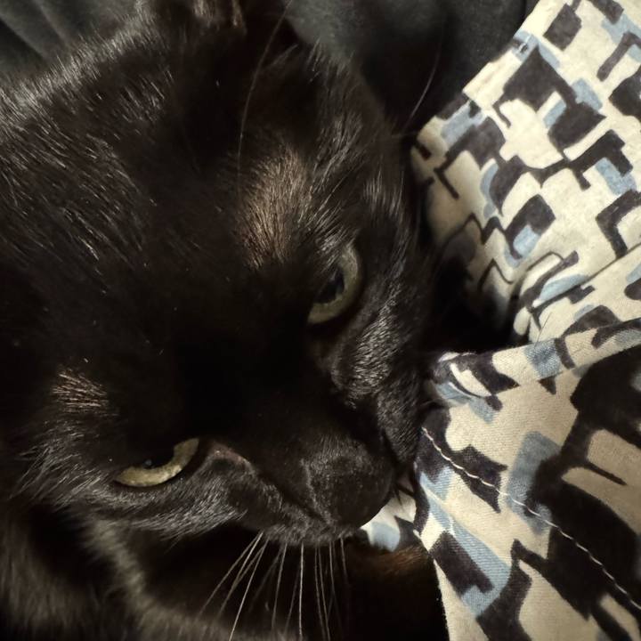 4c9a30f0 f97c 47b6 8e83 a59c818471e0 1762512136700