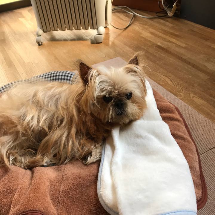 4c9a4e48 5001 4d6b a255 b838474b5d9b 1586583359297