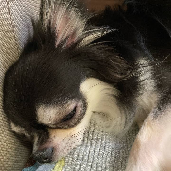 4c9a6b9d ac10 4077 8f4f 53a535040713 1664636600188