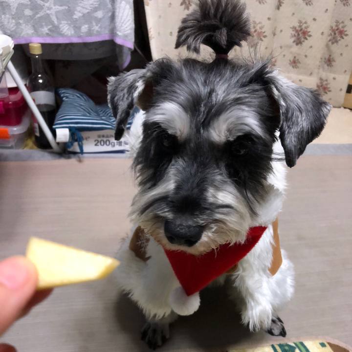 4c9b1d22 673a 419f a282 453e0f9abe4c 1640347207462