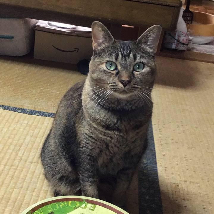 4c9b3c70 e46d 4c8c a383 76269988dfee 1757060572753