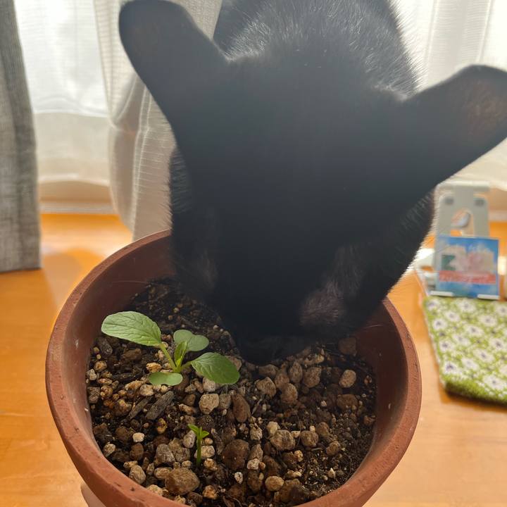 4c9b909f 4743 4f51 a2d4 04b70f6374ae 1698192814962