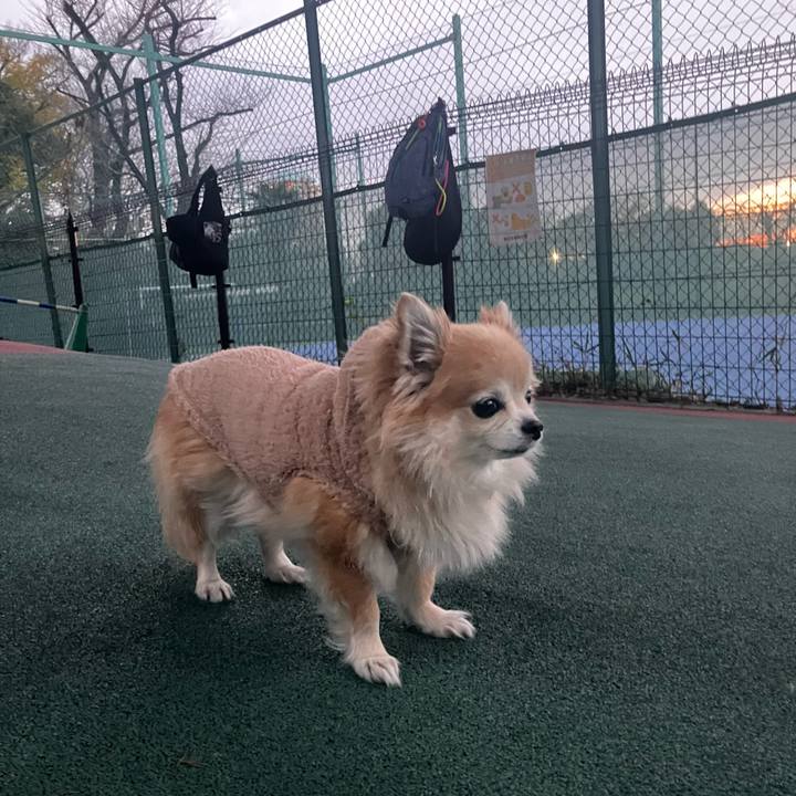 4c9baa60 4ee6 46a3 a7fc cd3279116596 1765783106519