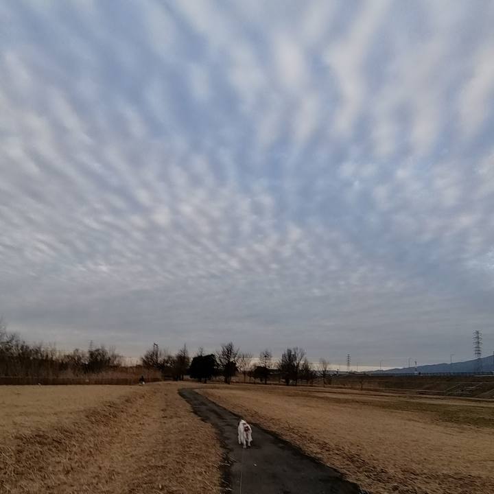 4c9bcbdf 2664 48c9 978d 22a4d02127bf 1581767571280