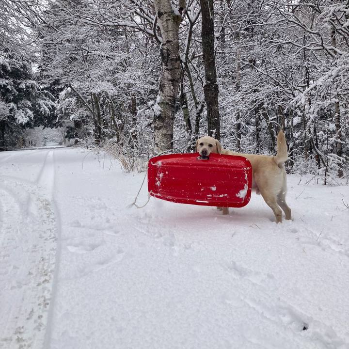 4c9be4fe 6d30 4d38 9f35 4dd9edf1e893 1670903214934