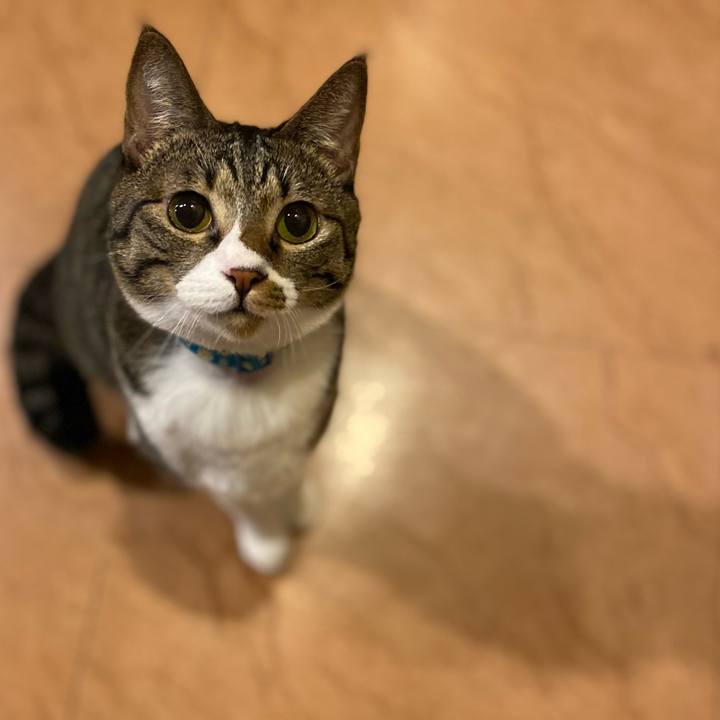 4c9c0d63 0f2b 4c5d 8595 6fa2352b43ce 1675331481155