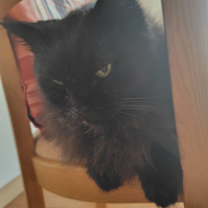 4c9c0e61 e762 4ff0 be15 8f9f54bd2e77 1726110926979