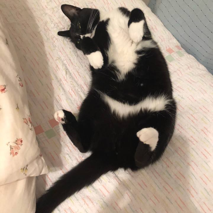 4c9c1fc5 854f 4e66 9dcd f941635e1625 1537222896803