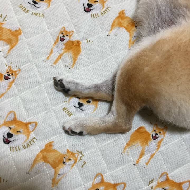 4c9c2735 77d2 4c29 83ca 7922de9a1176 1563366575810