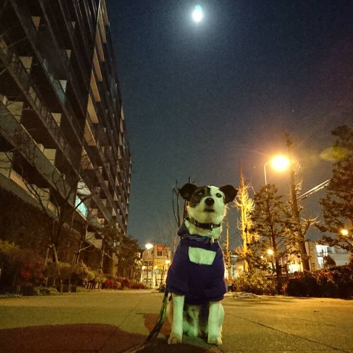 4c9c4ca4 d95d 44f0 90a1 476f1cf764b3 1517399749044