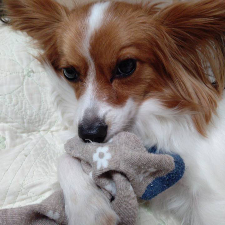 4c9c8b40 0661 4302 97bf d4dcb55e2fd6 1667475123834