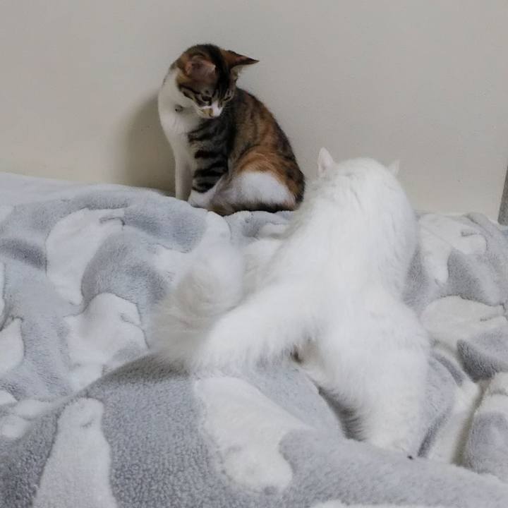 4c9ca210 6d9b 400c 9b2a 9720538f5b90 1632664444545