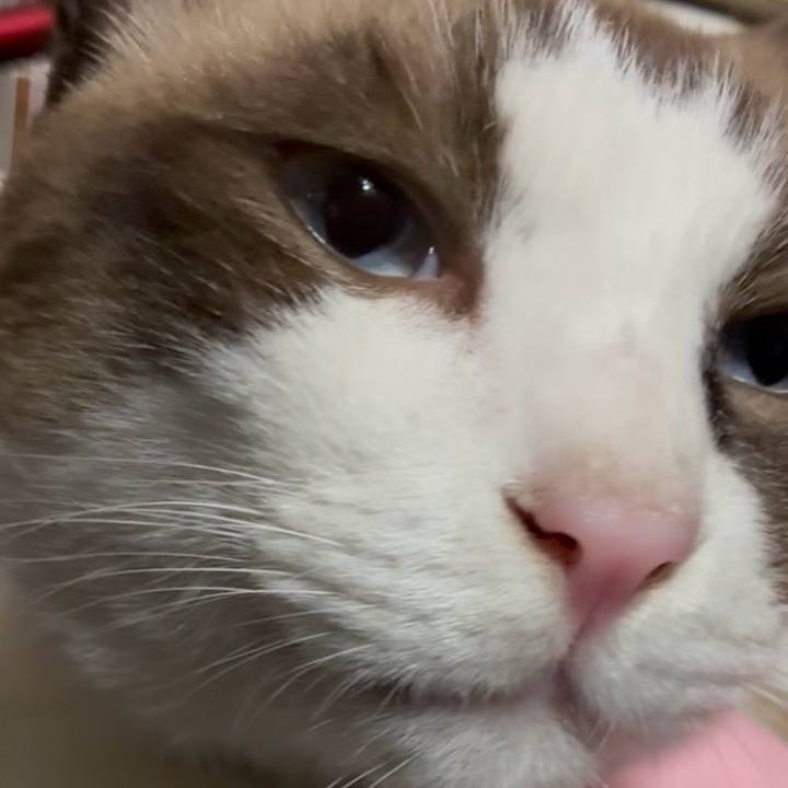 4c9cb198 727d 4f1f 8e8a ad04c0f97ddb 1761134603019