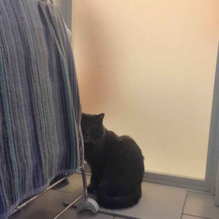 4c9cb567 67f6 407d aa3f 15b5826ac238 1523574798341