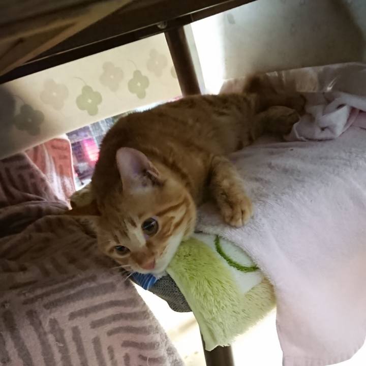 4c9cb965 95c9 4639 ab61 17447969da24 1641988242643