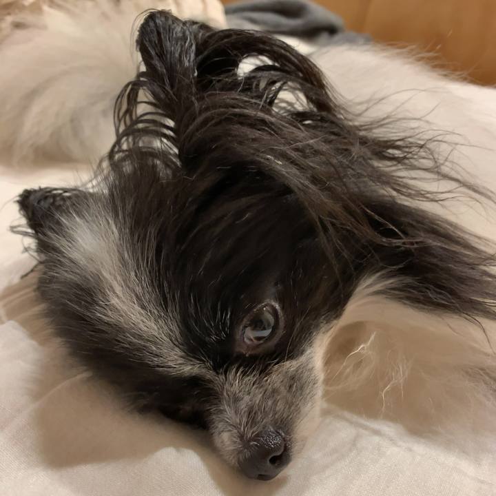 4c9cd8b4 fb7c 4e28 a4fe 2cb7ea6b1f57 1563978843417