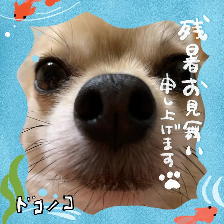 4c9cdad2 345c 4b2b 8e14 1a28144f9426 1723239667764