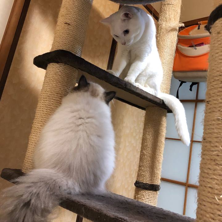 4c9d2e72 ad41 4a0e a7c4 45bb808326ec 1632919972397