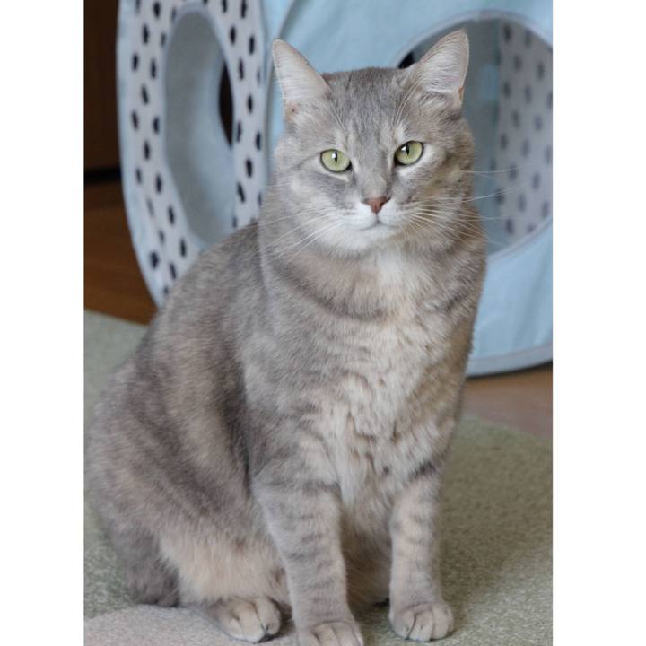 4c9d3080 42e3 4854 9327 8bffd491e297 1605403088479