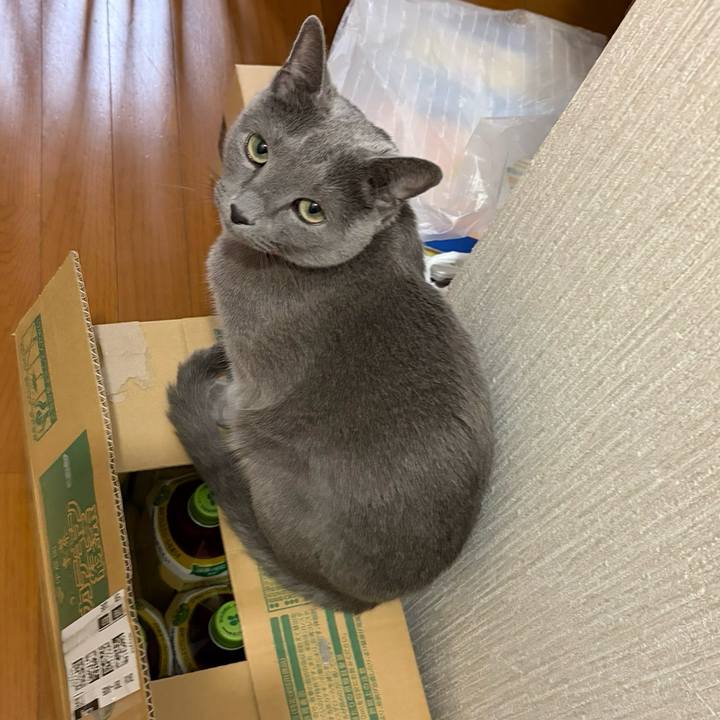 4c9d48d6 b614 467c a0a1 d8c1d728e9f1 1762777316066