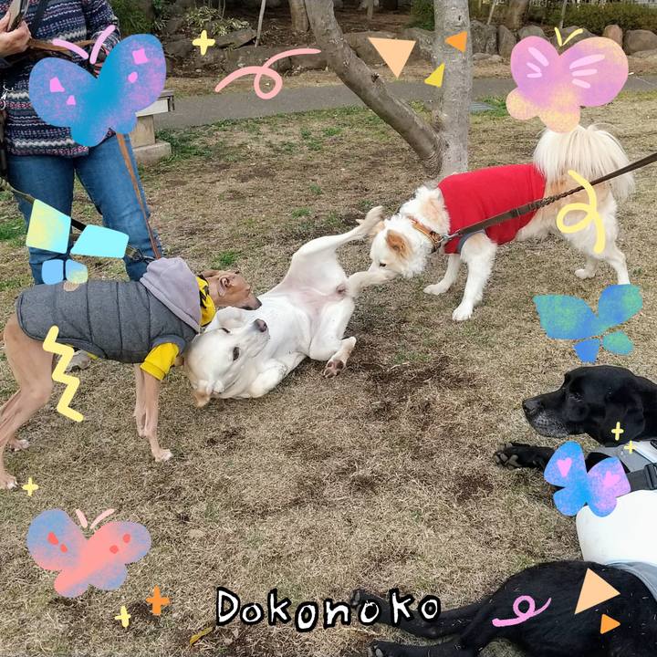 4c9d6197 ffbe 4e61 8fa9 fda220179236 1711532346710