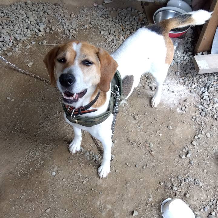 4c9d9863 5708 4f9c a629 6019de3ed54c 1688870470268