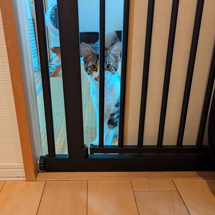 4c9da1de 5c2a 4762 ab31 0ad762801350 1726556567119