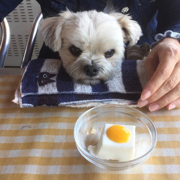 4c9de8d4 cfdc 4ed0 b1fb 5d9c1b674eb7 1555125839311