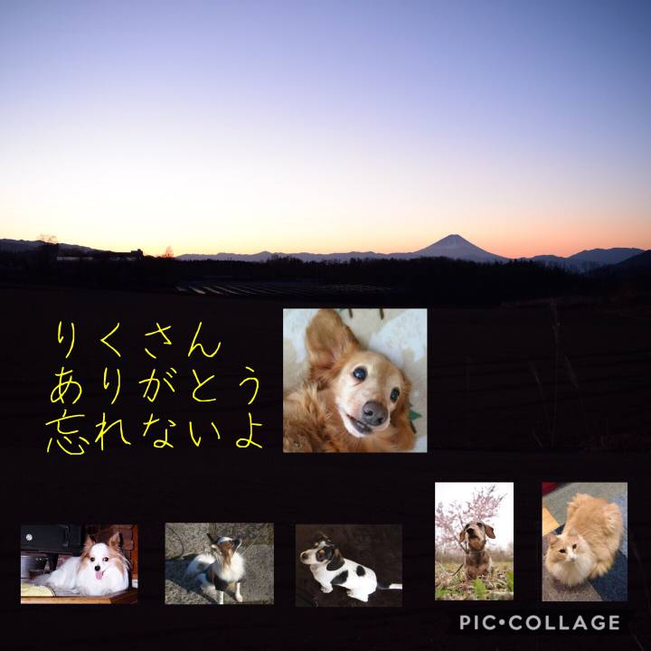 4c9df304 2812 4561 849c 656c873b7861 1514597769444