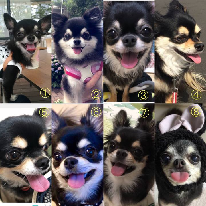 4c9df574 fd9e 4381 b6dd 6be737189456 1567846224712