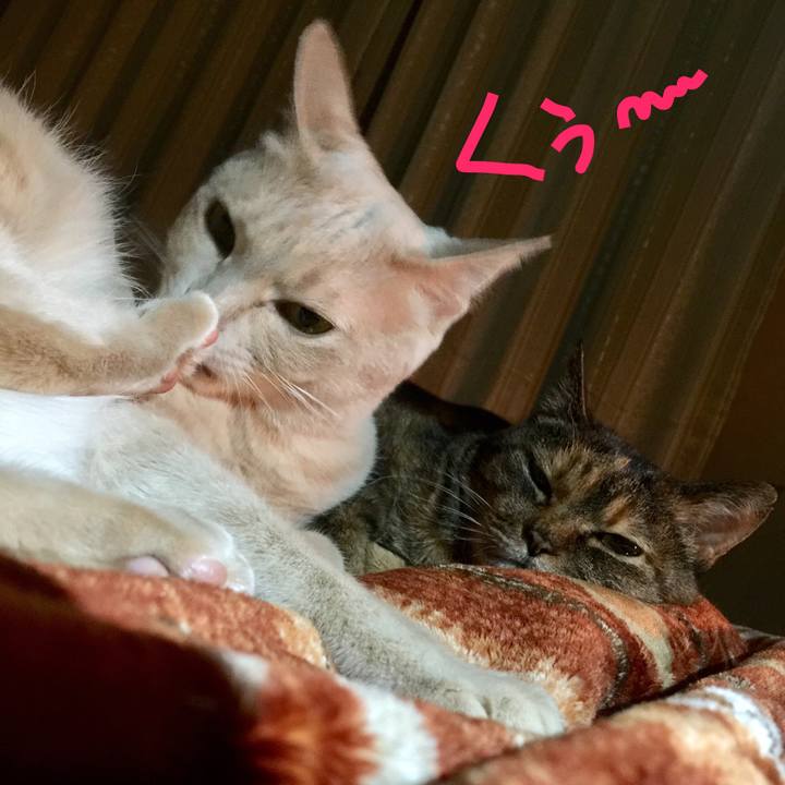 4c9df74c 28e8 4ce1 a4f2 90371644bef7 1519906366680