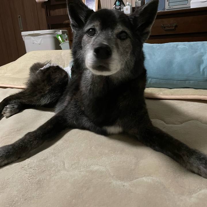 4c9e05f3 550a 4fed a8ee 60b5544d8b03 1679197588837