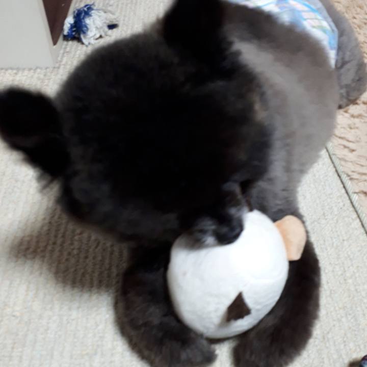 4c9e06bb 8a0c 4cb5 a941 867bff194d42 1548890973471