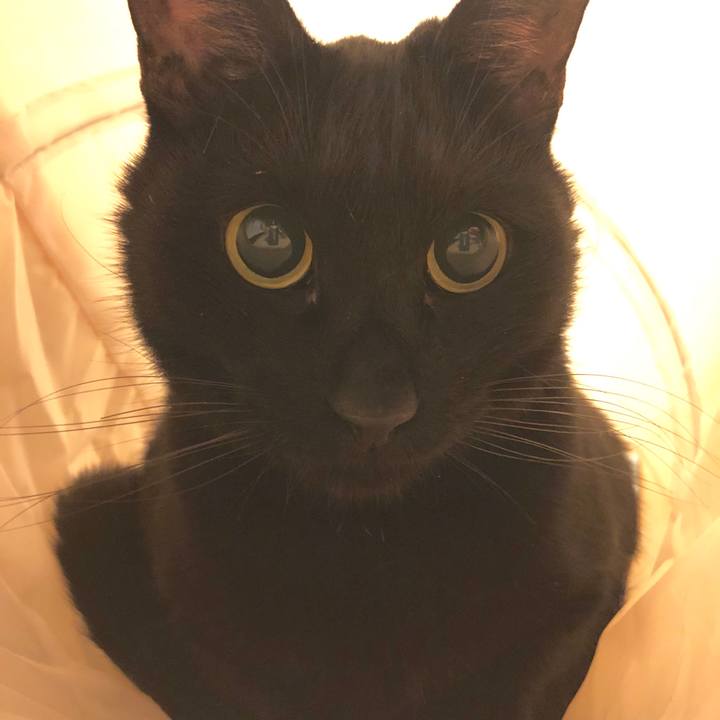 4c9e1508 e326 4247 bf4c 793b485a65d0 1580566454825